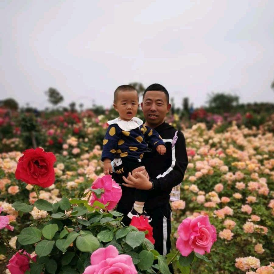 聿之小盆友（好物推荐）