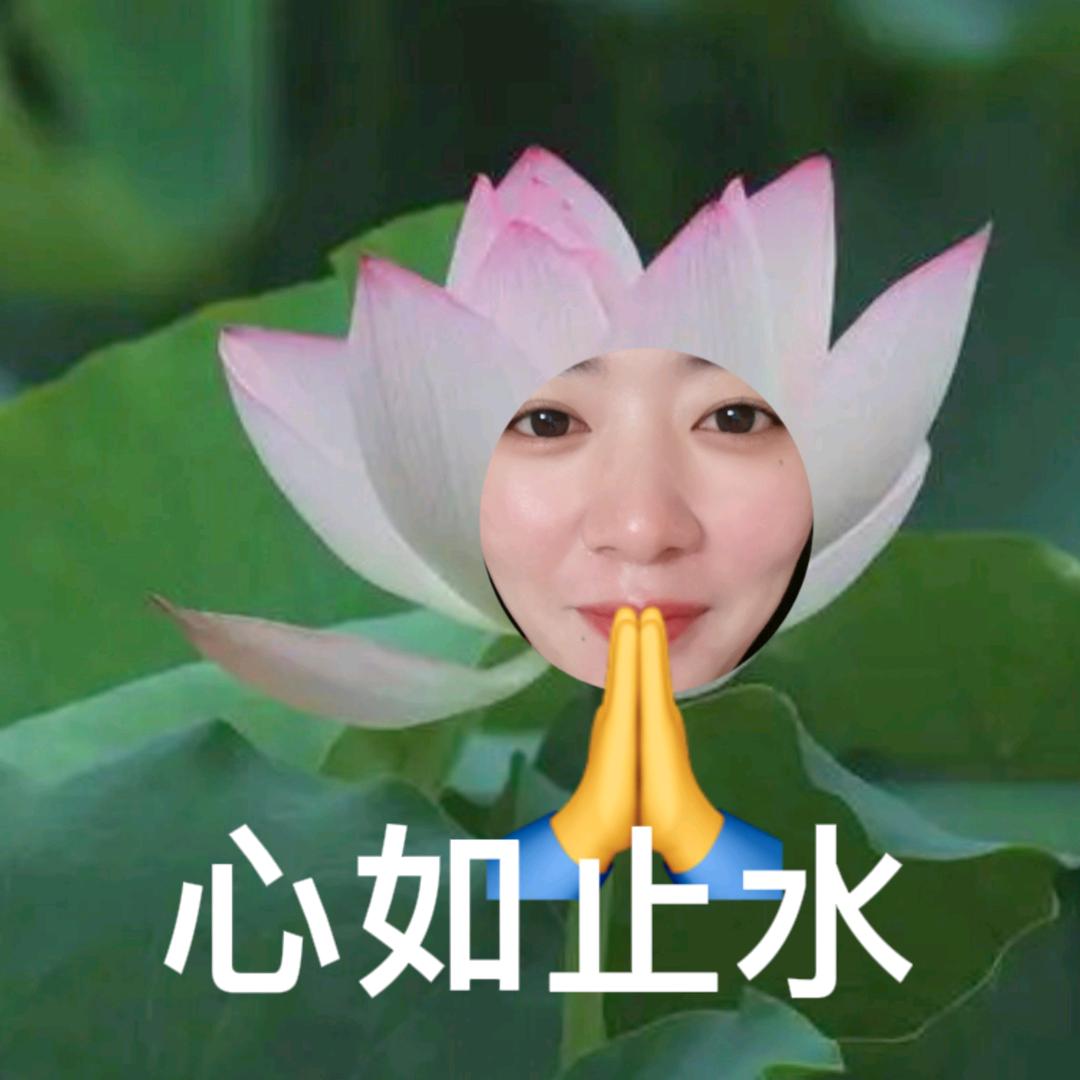 邓小二🍀