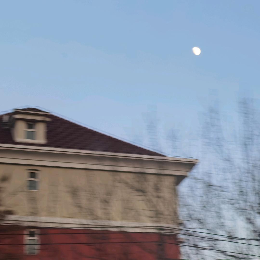 🌈洋槐花与荆条花（带刺的玫瑰版）