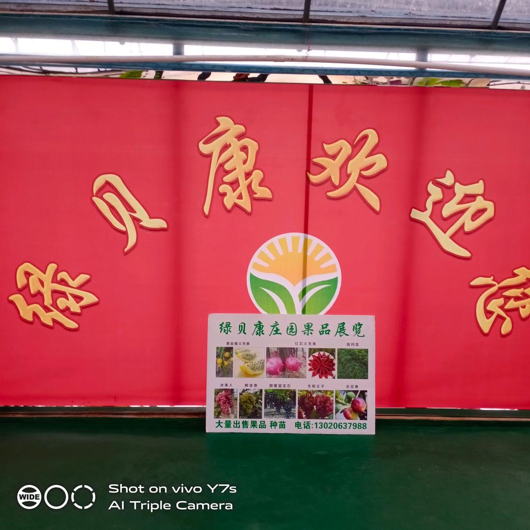 张博涛