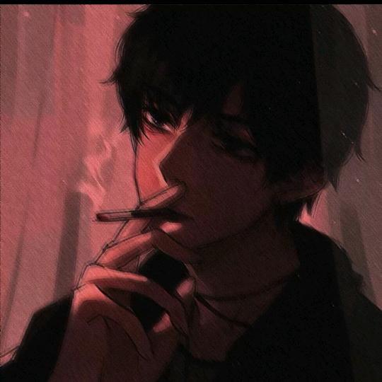 小猫可爱日常