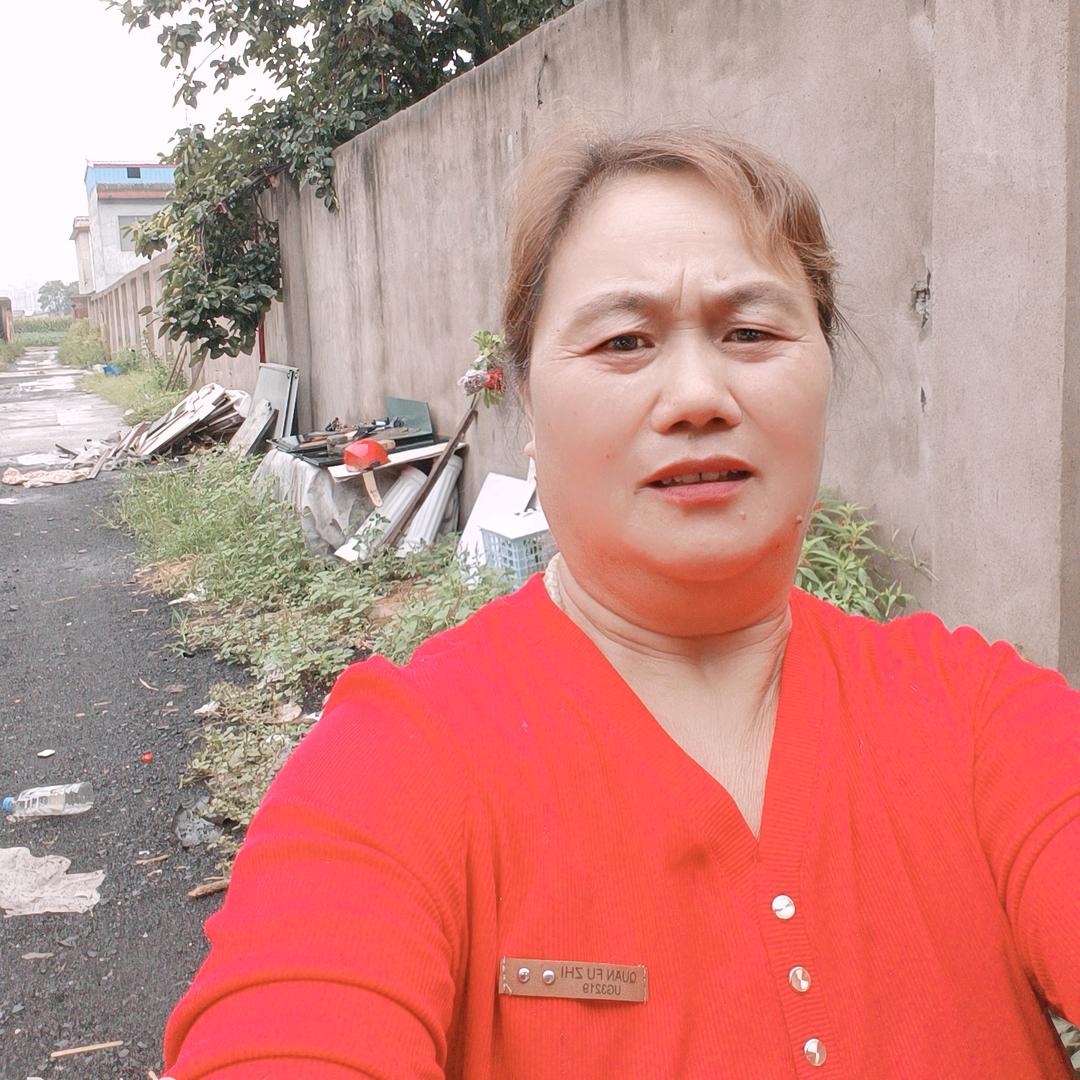 农村琴姐（首播）14：40开播