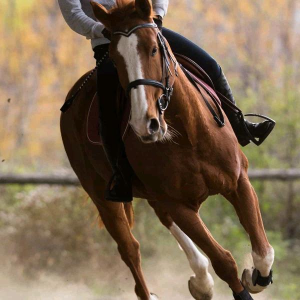 立宁五金厂（多功能电煮锅和厨房锅具）
