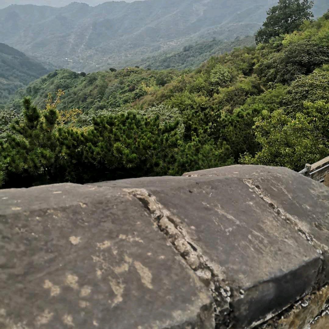 混沌