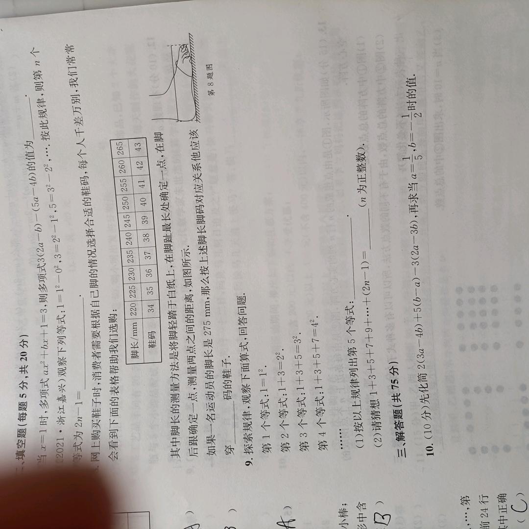 乐乐