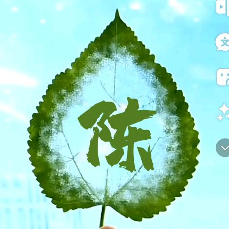 黑侠