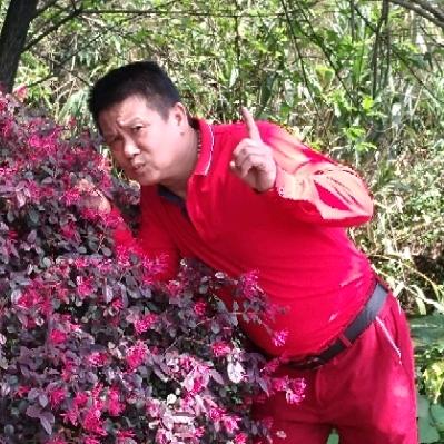 想你爱你的人