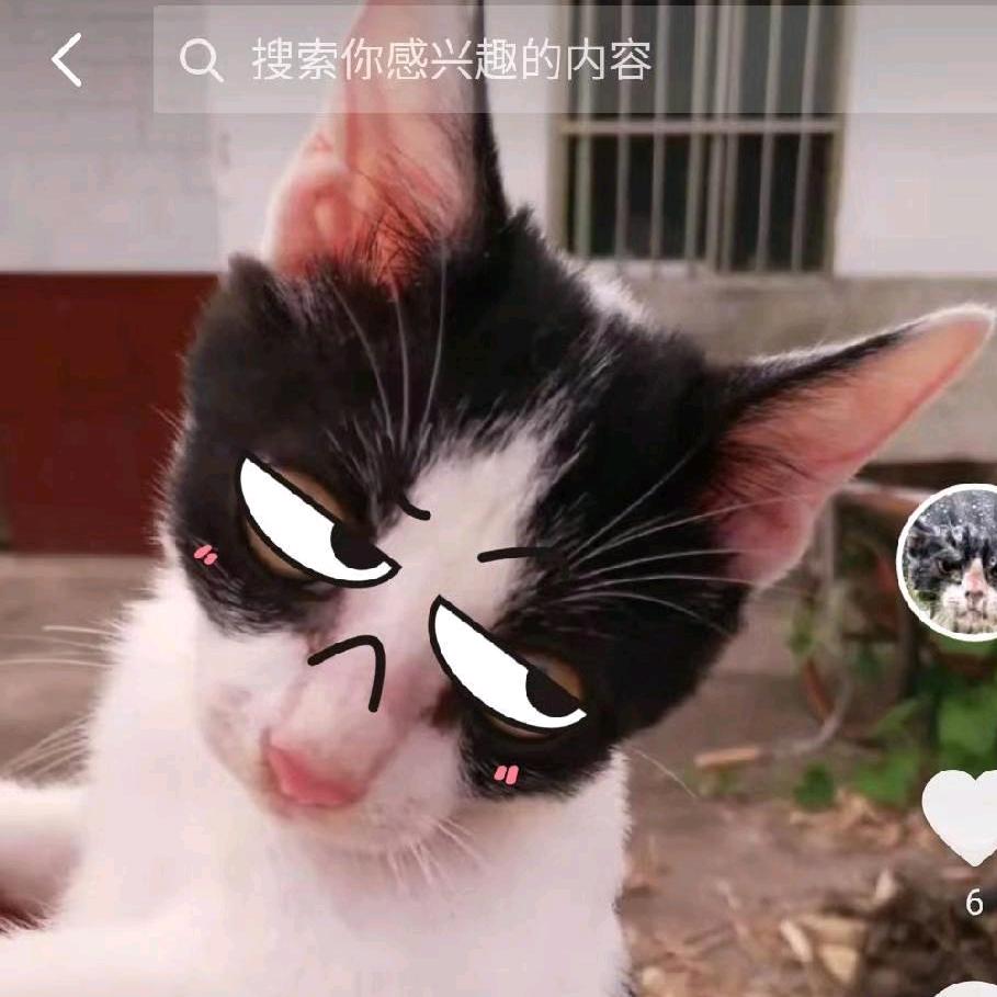 qzuser