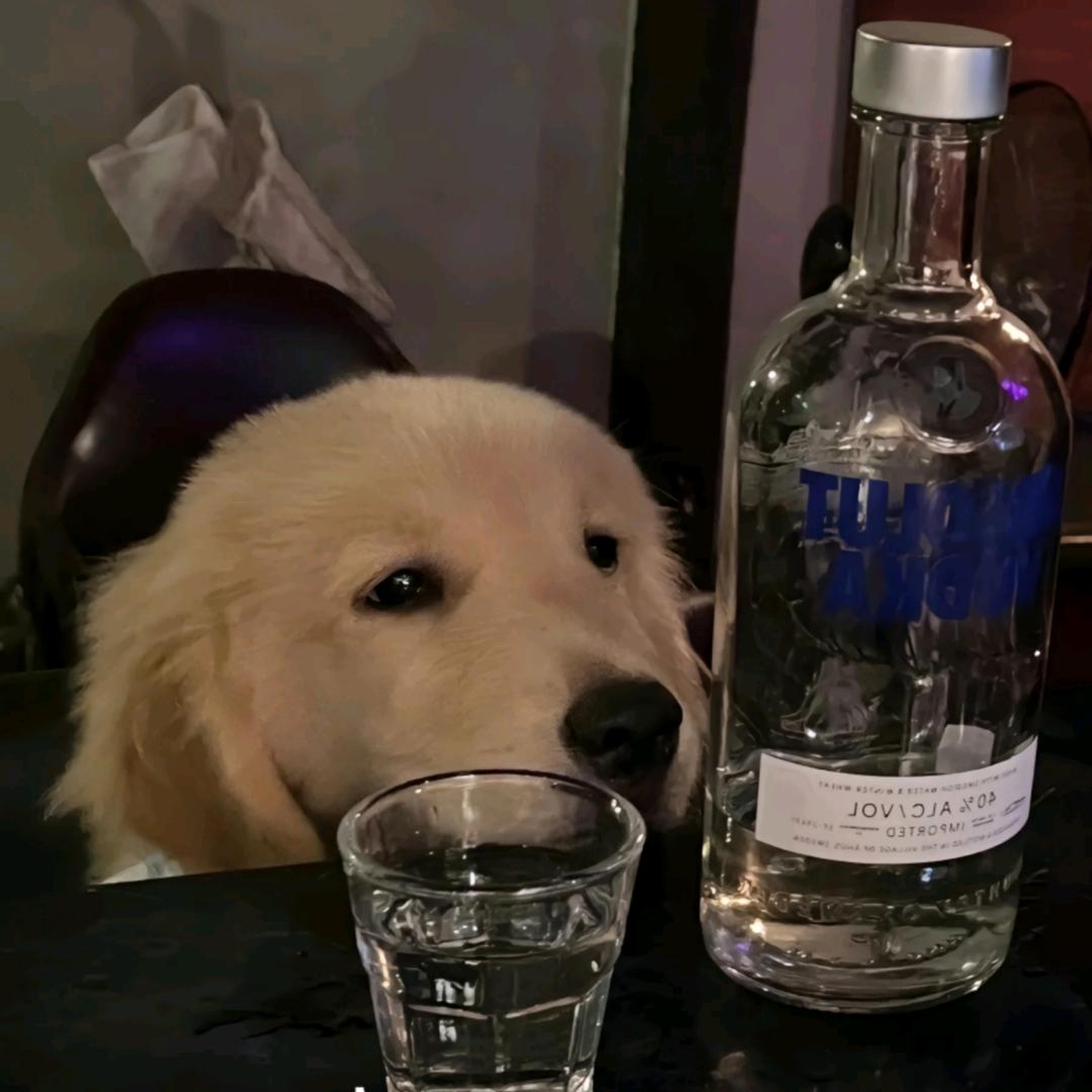 我黄某与赌毒不共戴天