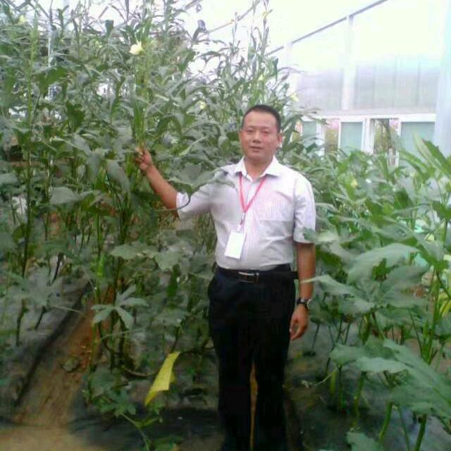 云南蔬菜直采