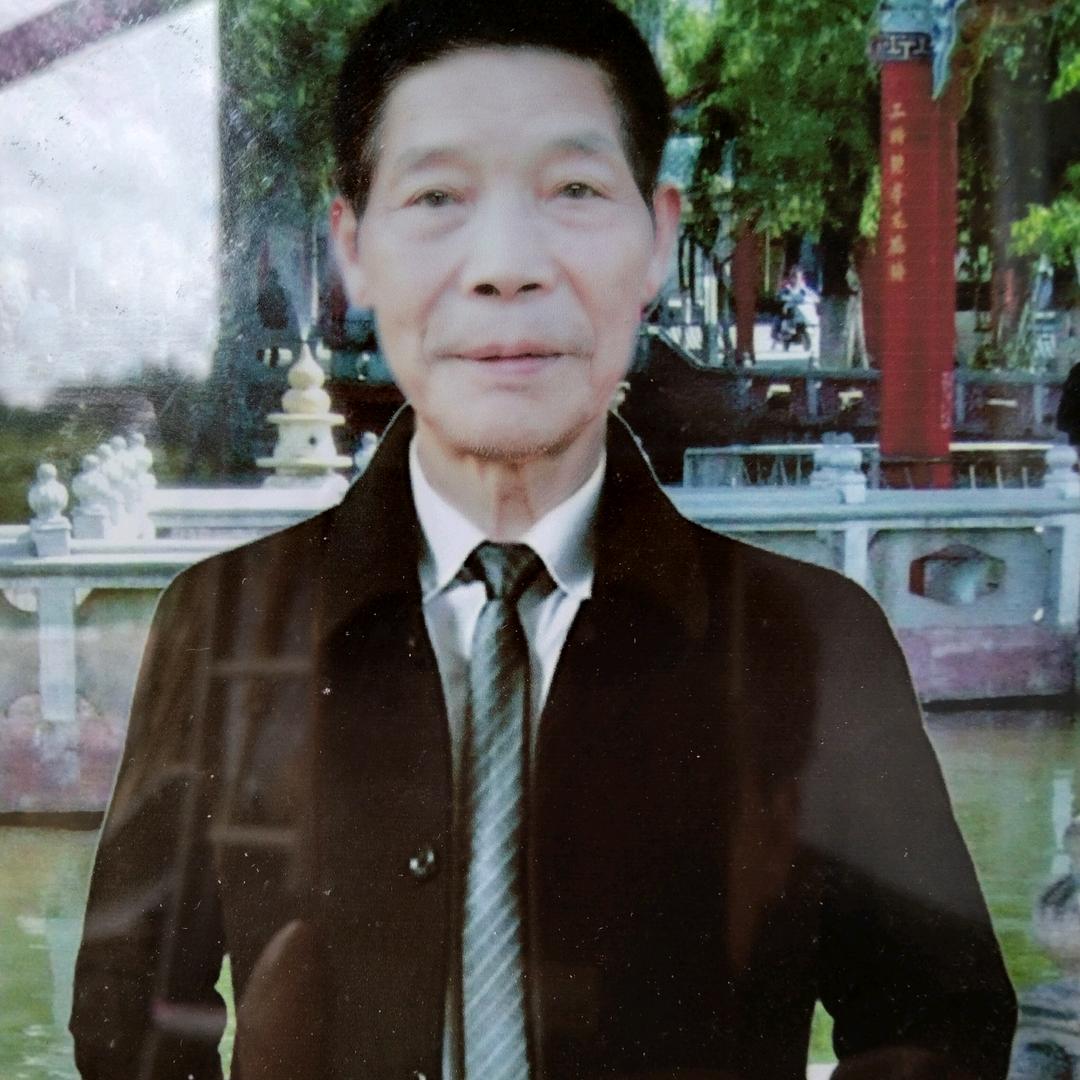 不老松