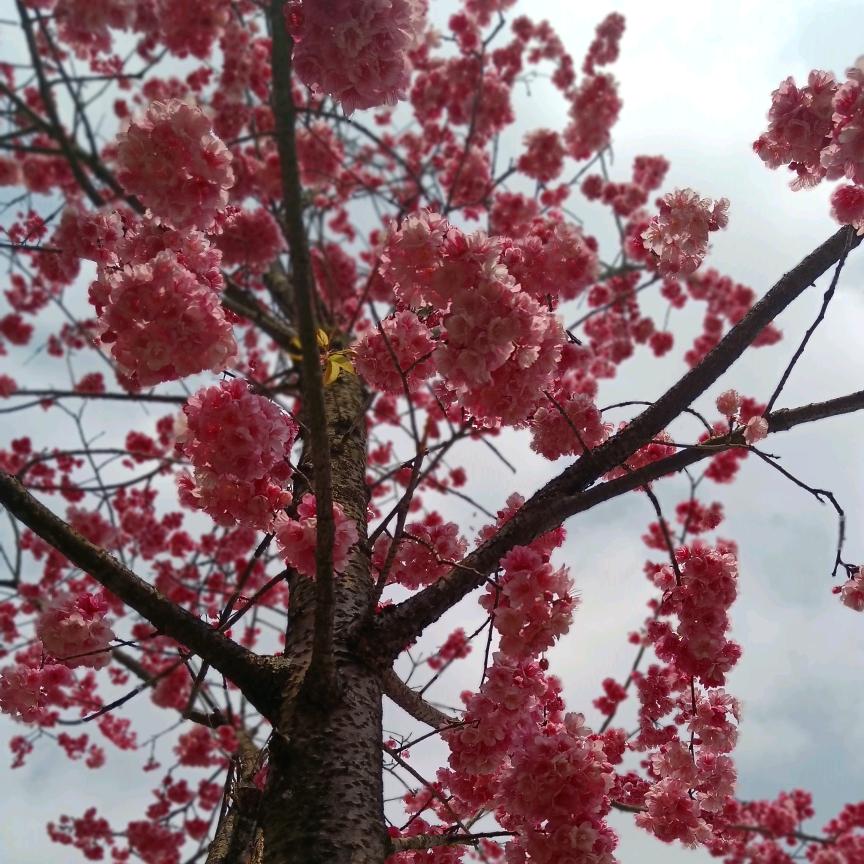 流年带不走夏伤