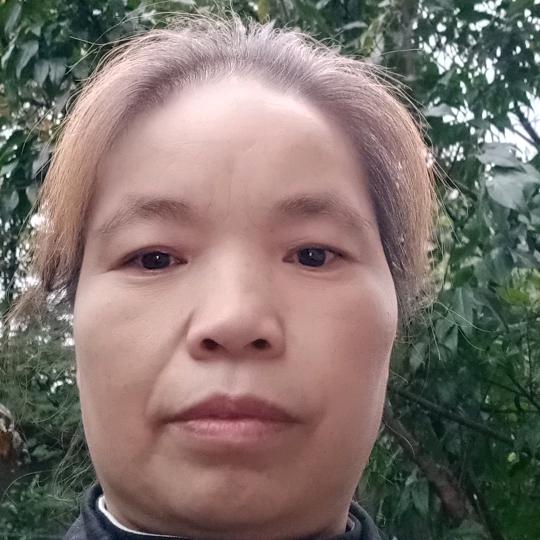 兰兰特效