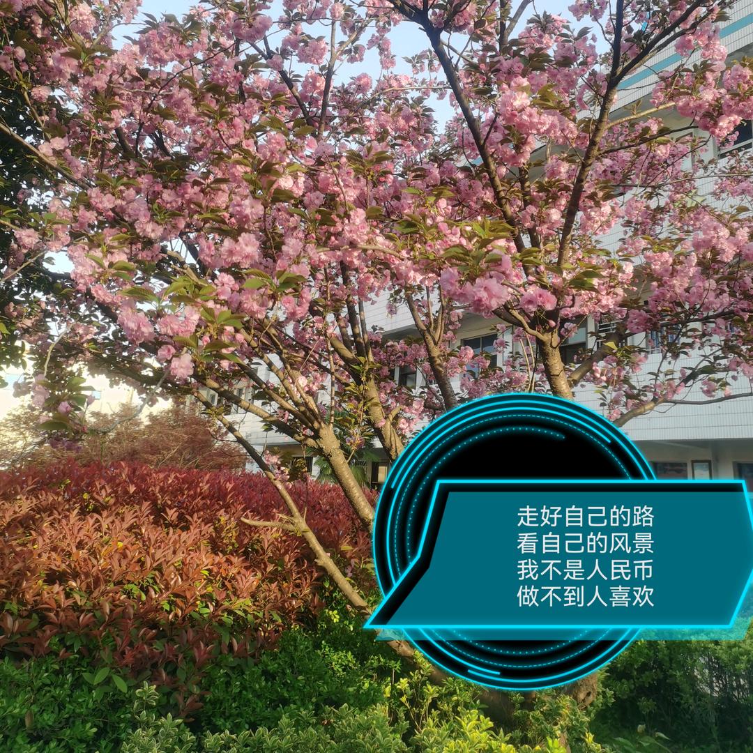 思念是一把利箭