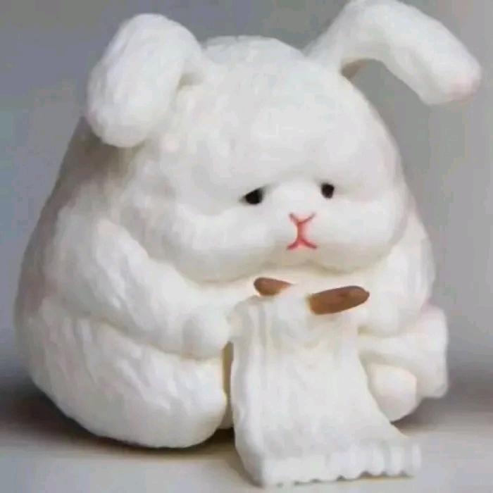 陈一一
