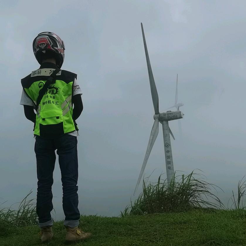 实打实的厄尔头像