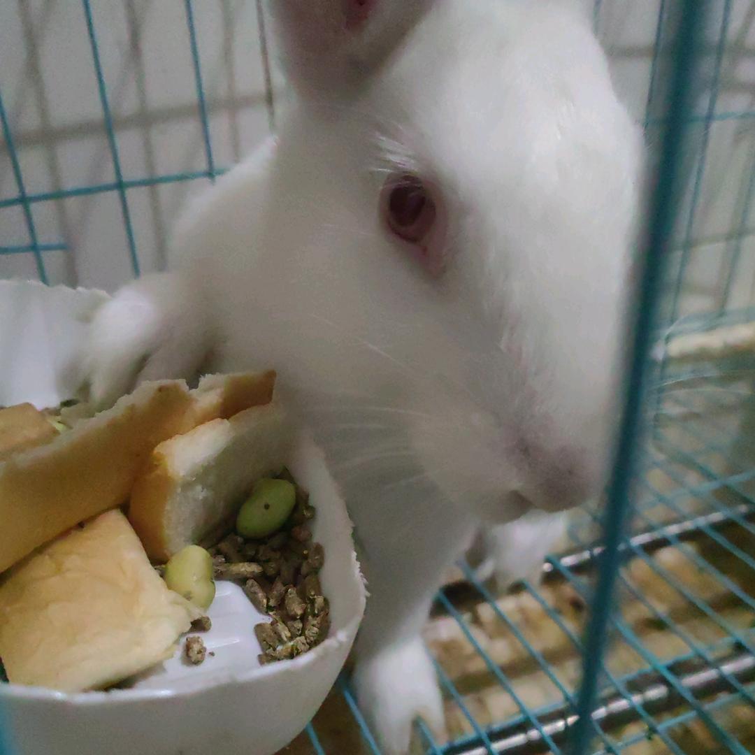 ꧁💞一个℘᭄ᩚ俗人💞᭄᪲ᩚ꧂