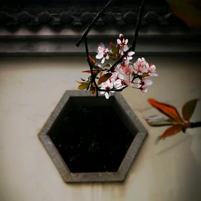 颜色