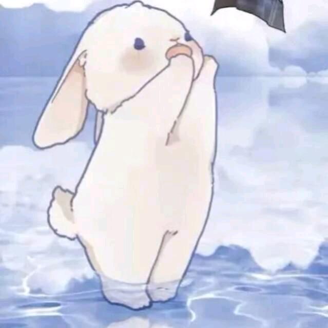 喵星人
