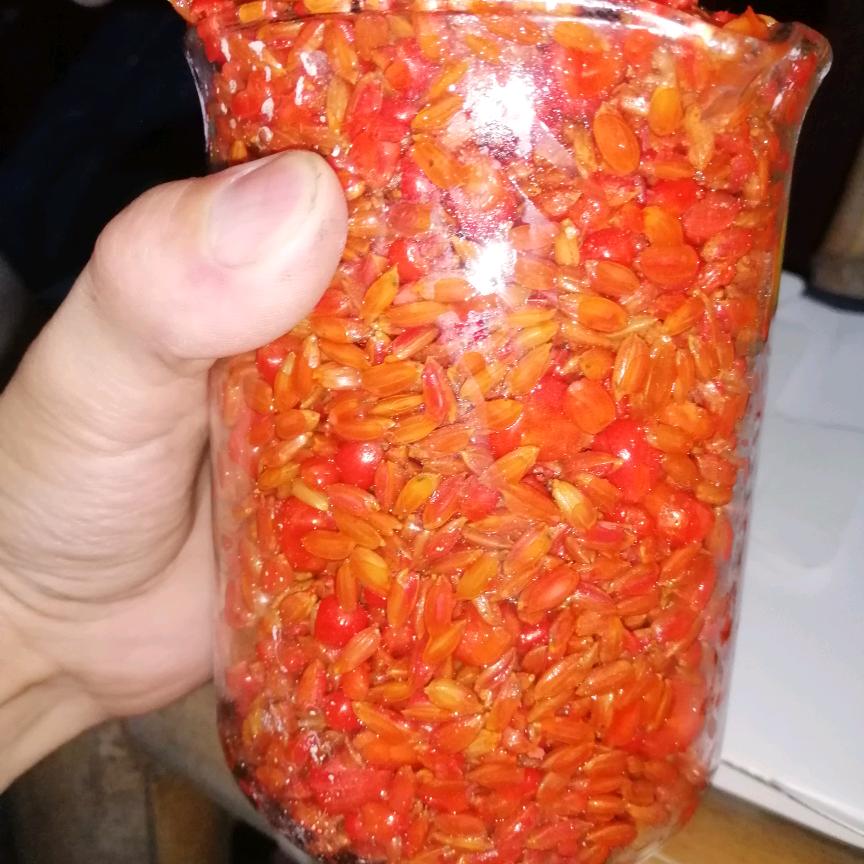 重庆刘老三