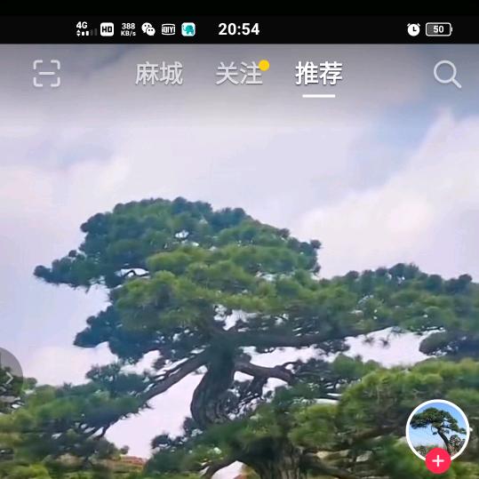 晟宇园林景观工程