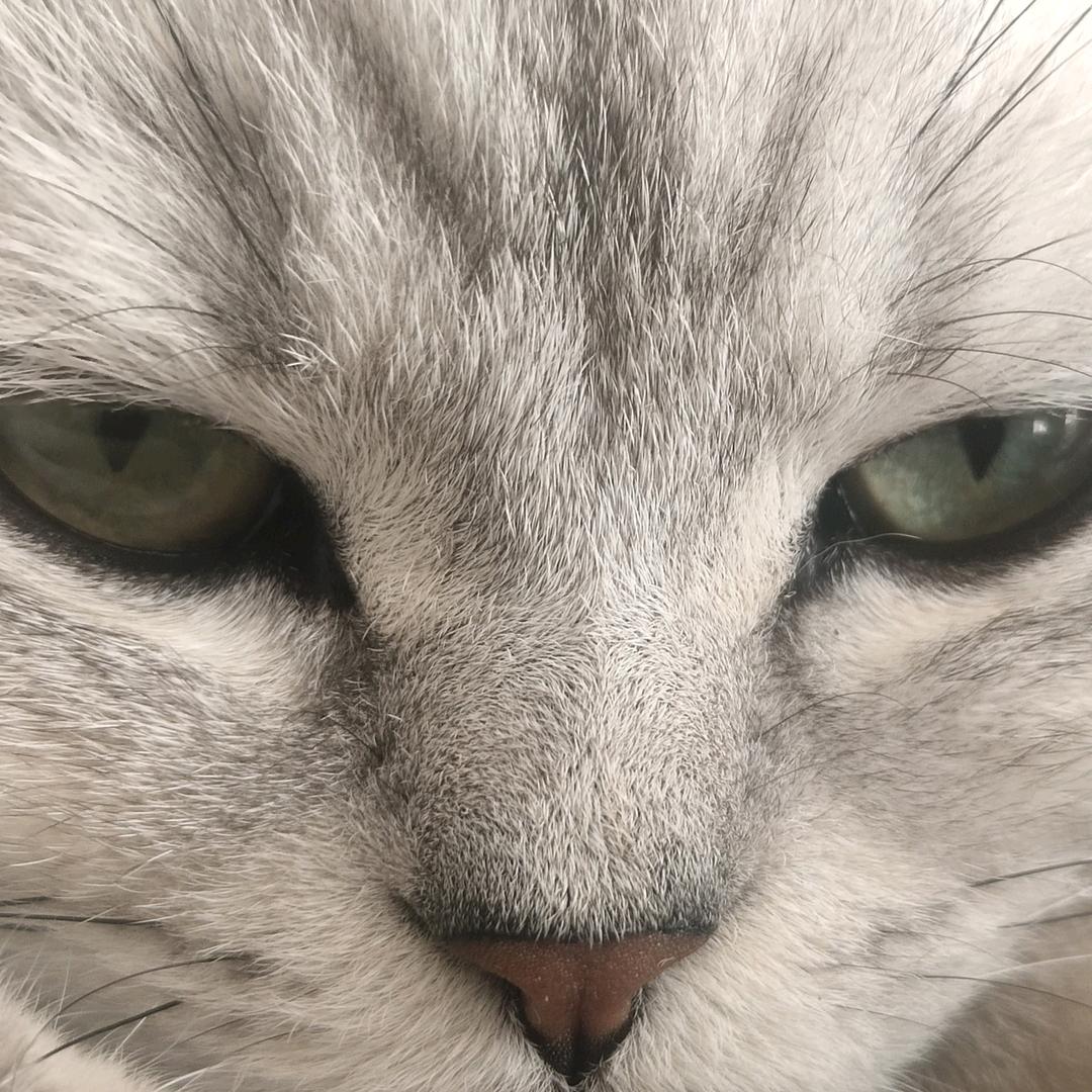 昊亮运通驾校谷教练