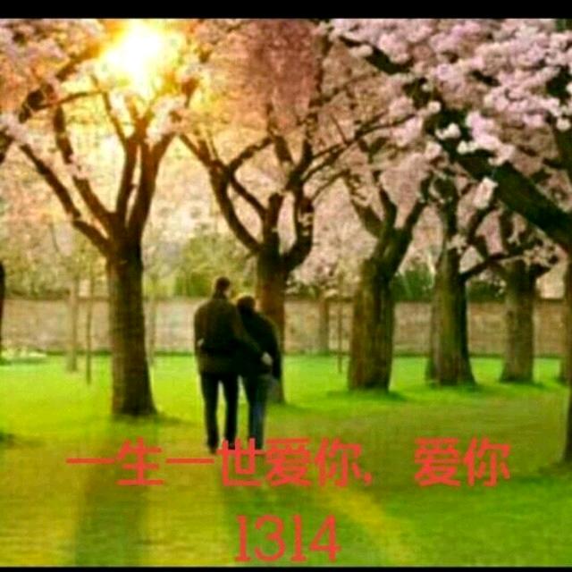 一生一世爱你，1314，520