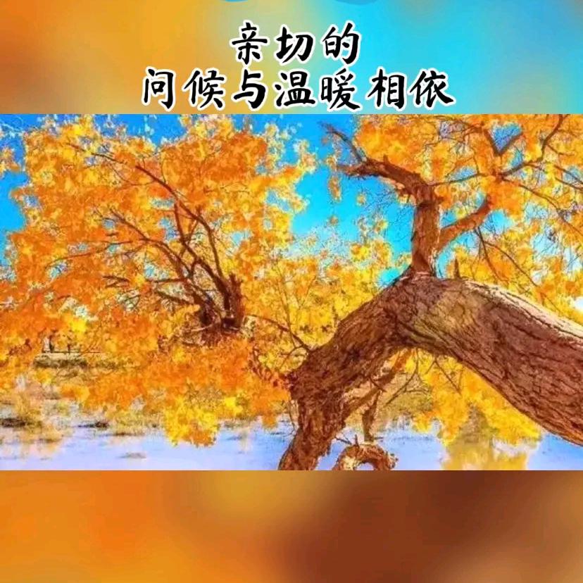 孤独者