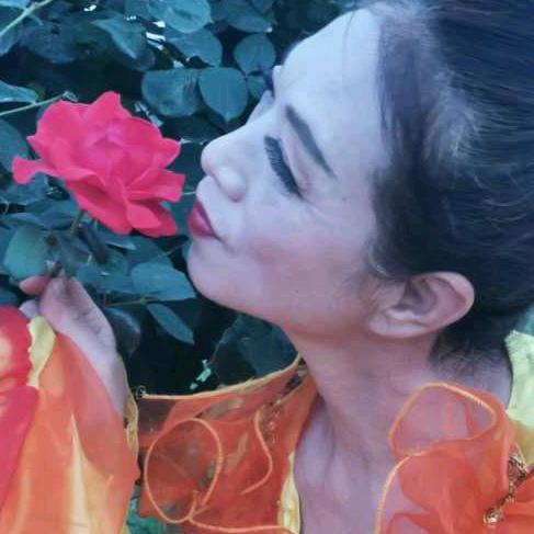 腊梅（拒私聊）