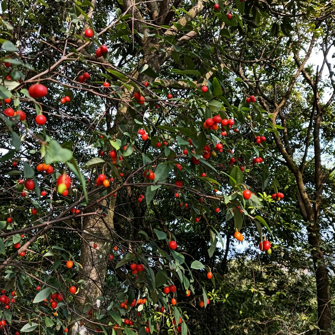 为你停留