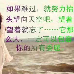 H傻丫头