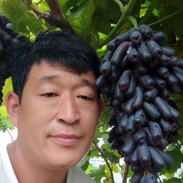 吉祥如意（有机葡萄种植）