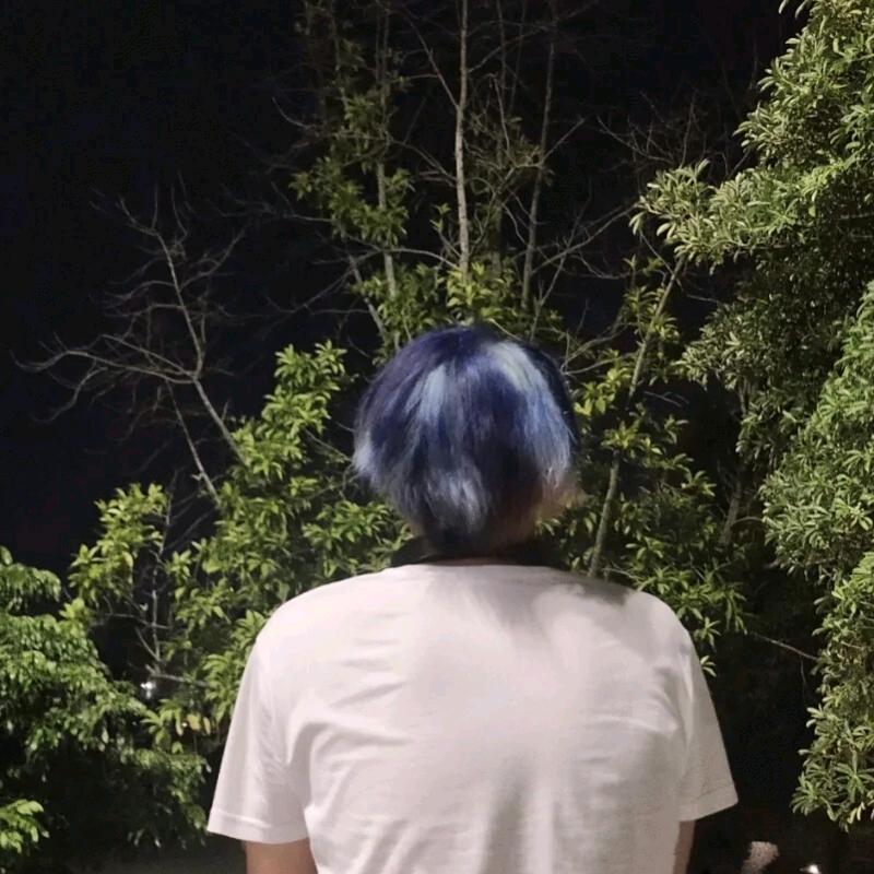 夜幽猫