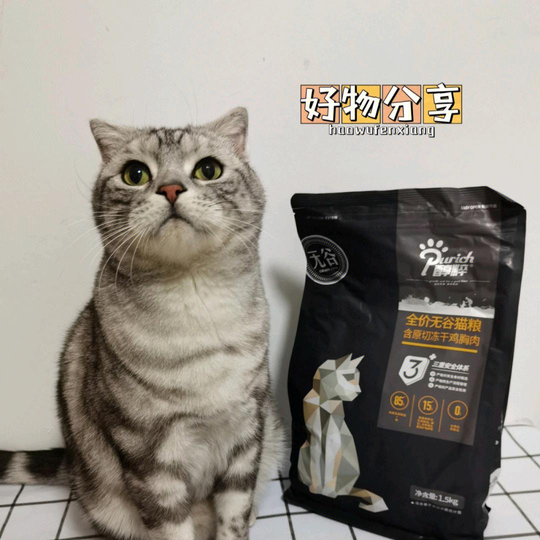 猫粮推荐性价比高排行榜