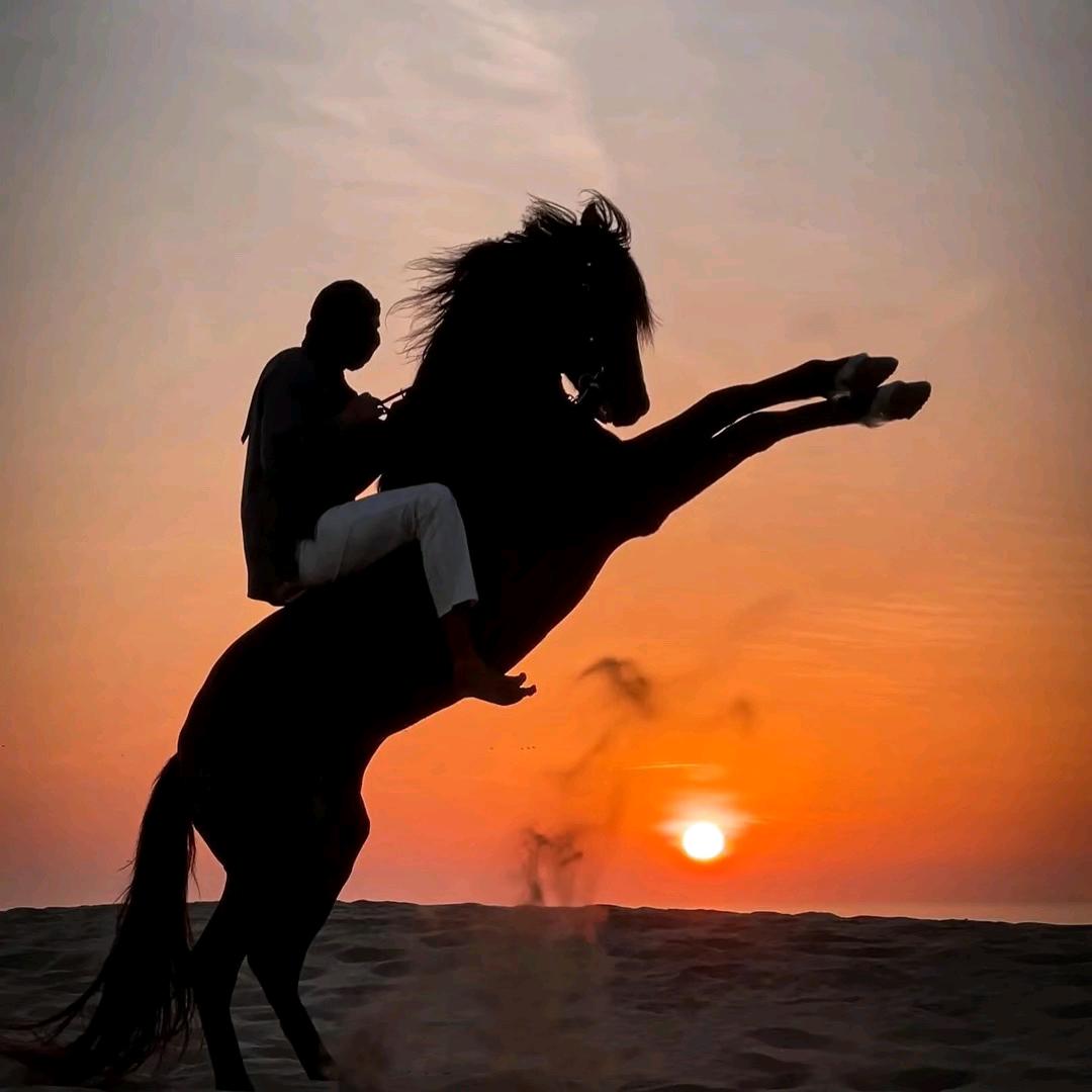 爱马小赫🏇🏻