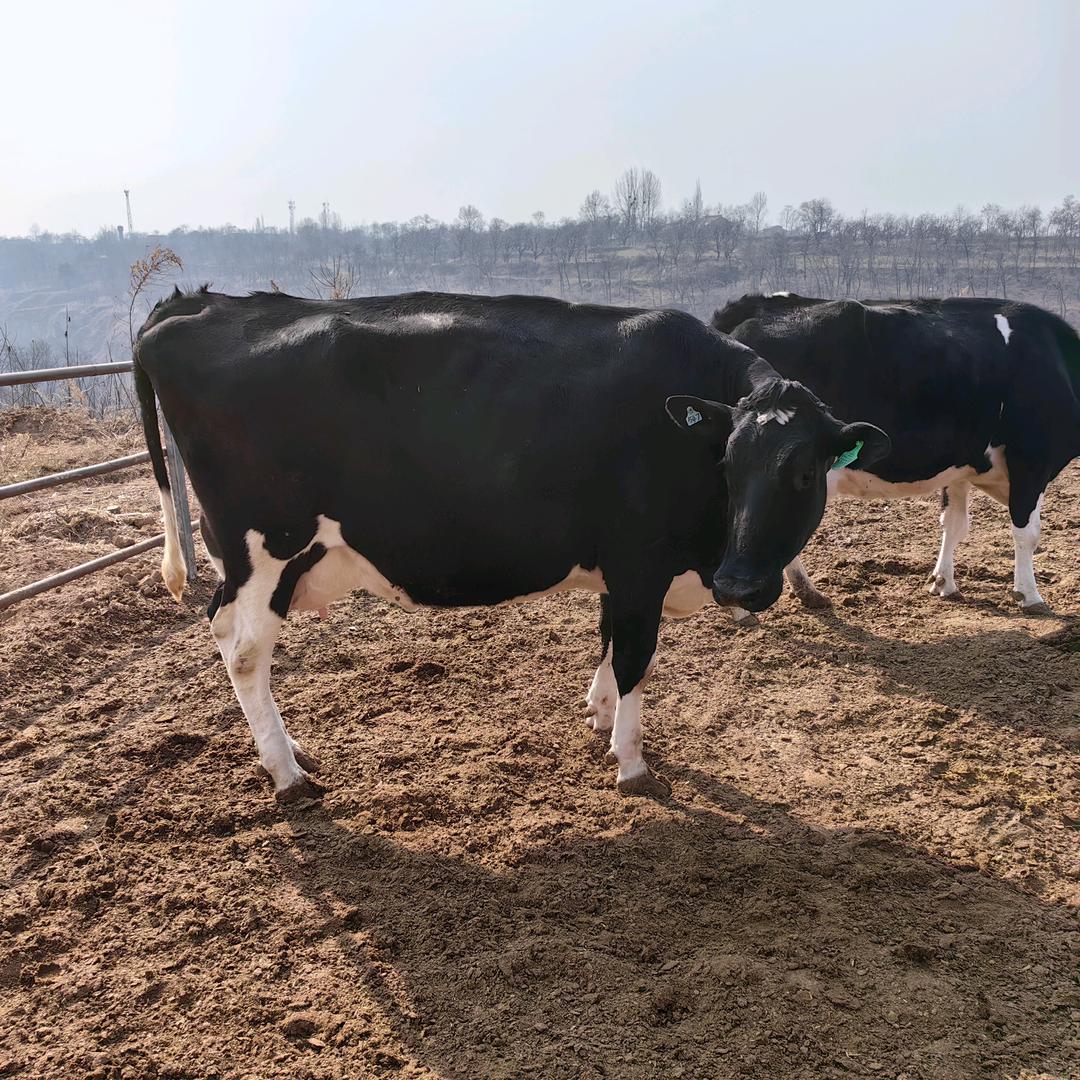 永寿县铭泽种养专业合作社