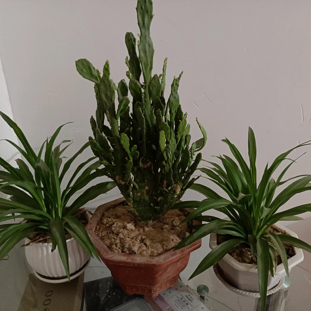 有点不懂你