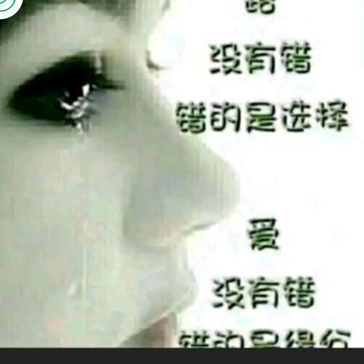 哥不需要你的理解