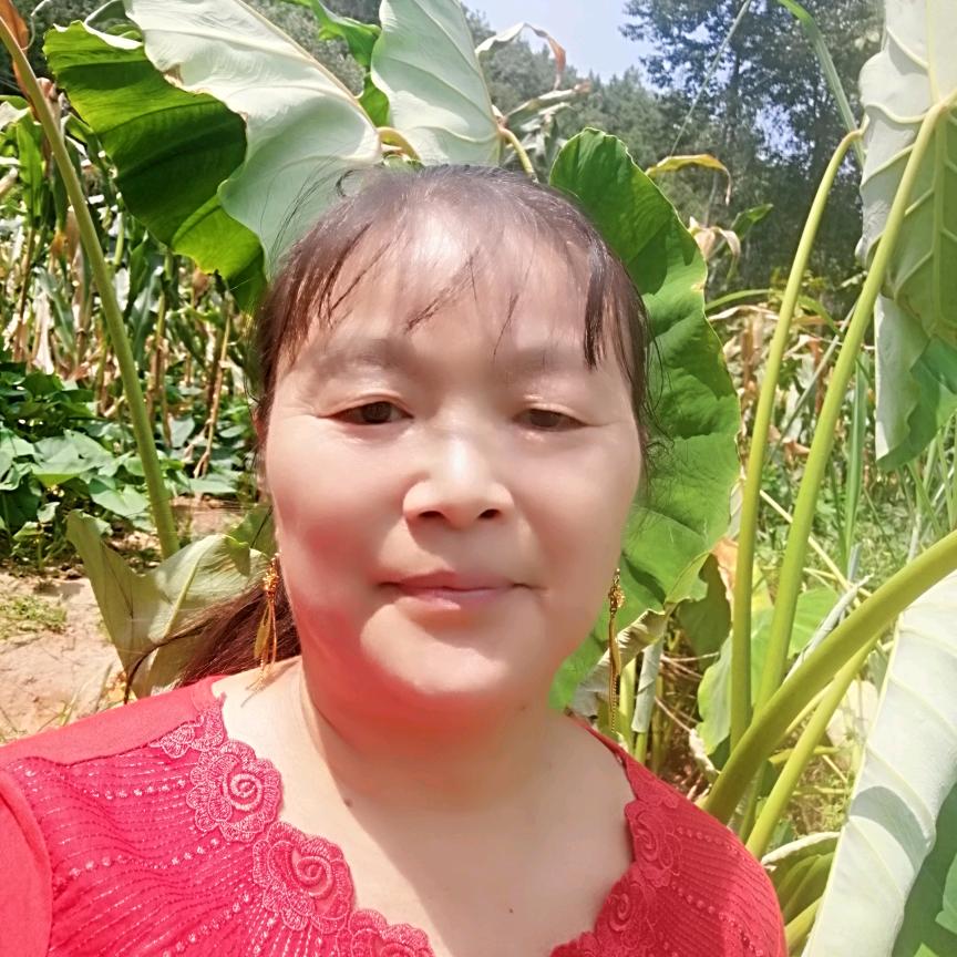竹根妹〈停播学习中〉