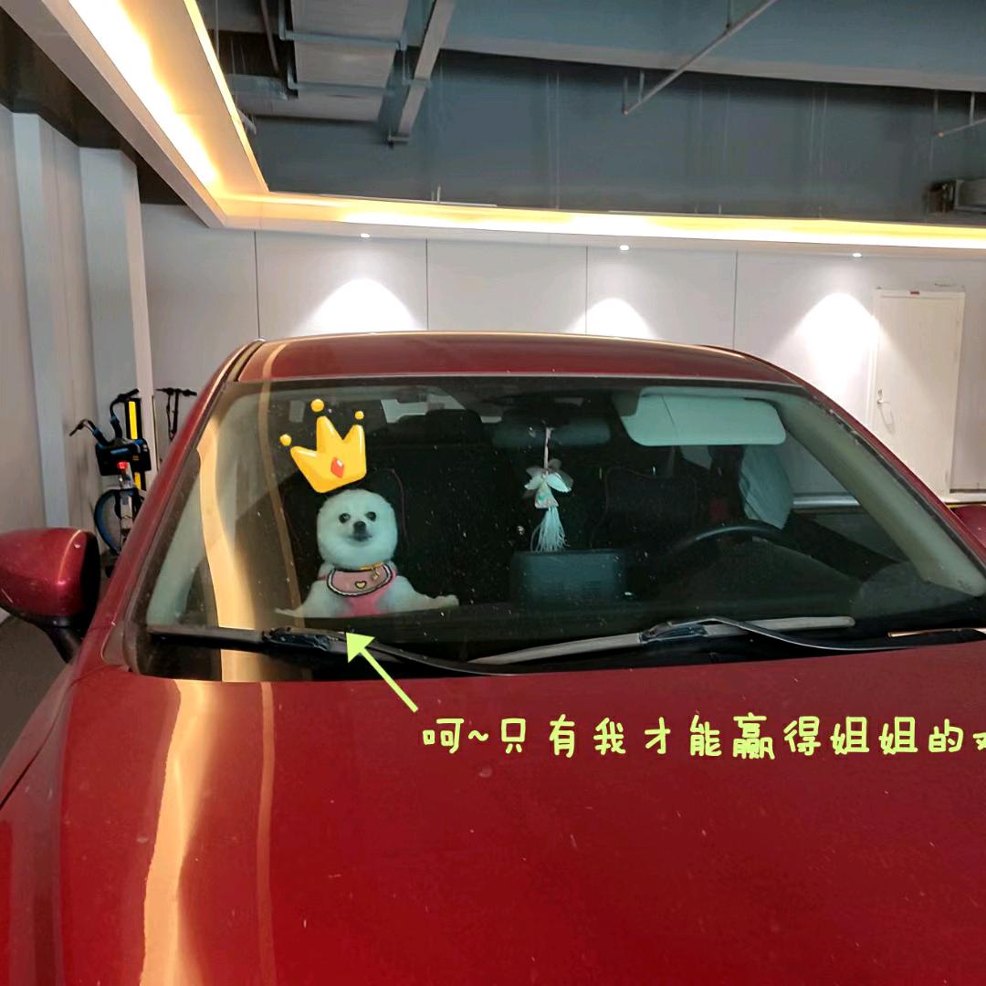 你开💖我快乐🎉（拒绝私聊）