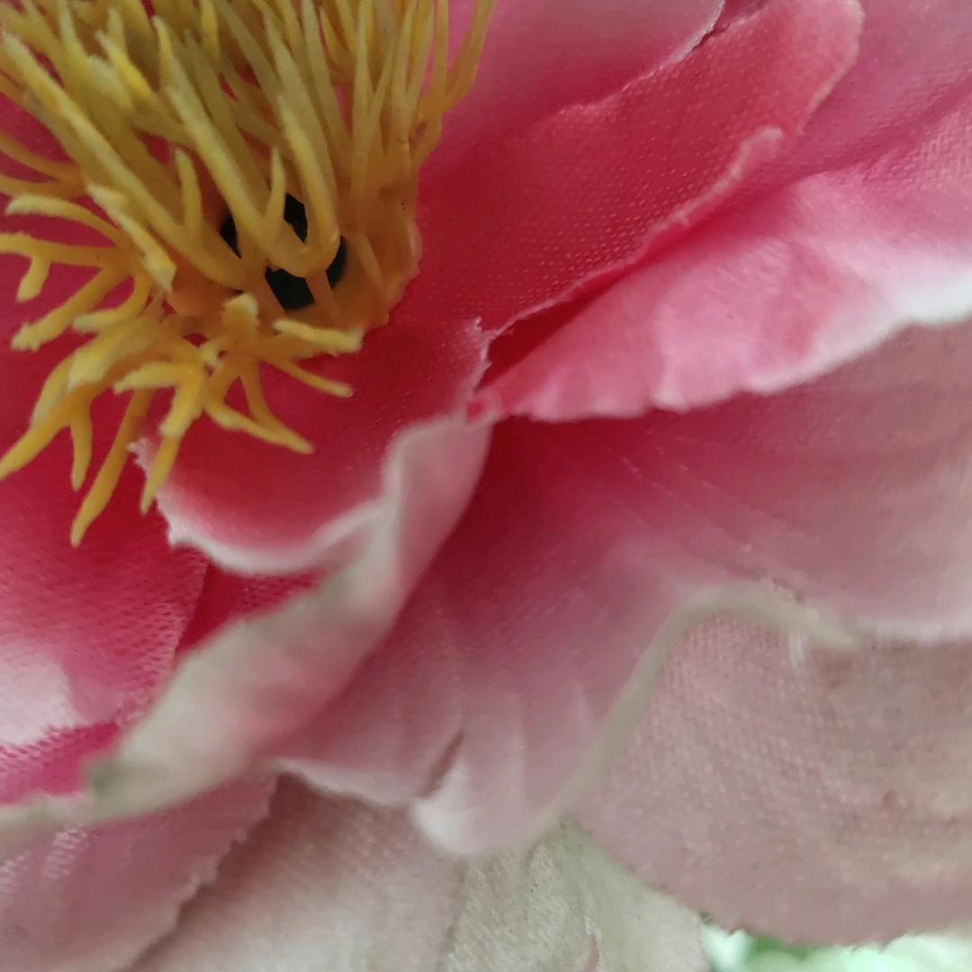 用户523417