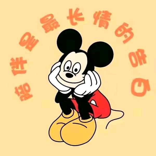 有才有权【橙心🍊意】