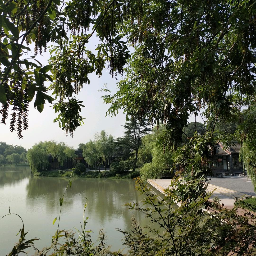 挚爱宝贝🧞‍♀️