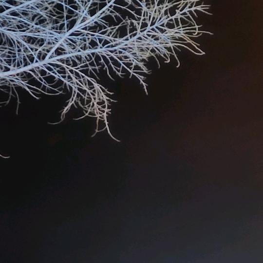 菜菜子的游戏世界