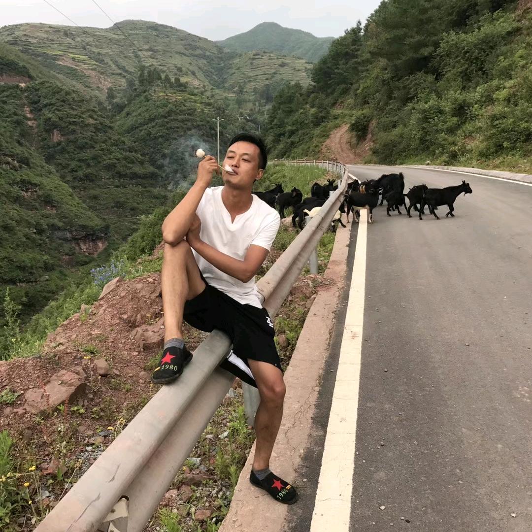 扎西大鸡