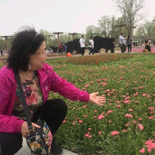 用户312957035393快乐人生