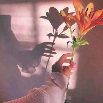 ❀默默.然❀