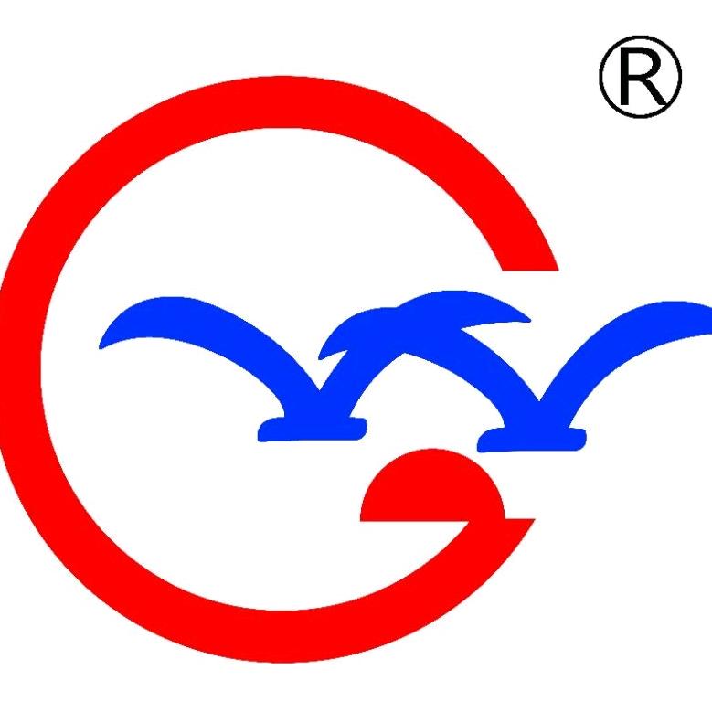 魏孝轩（临沂伟光）