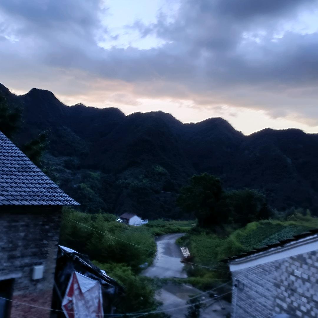 阿芬