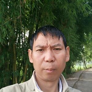 杨天宝